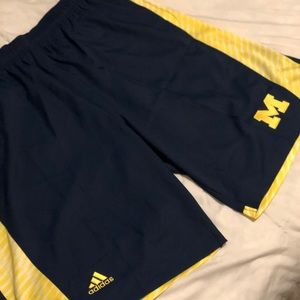 University of Michigan adidas basketball shorts
